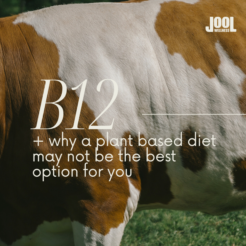 B12 + Why A Plant Based Diet May Not Be The Best Option For You