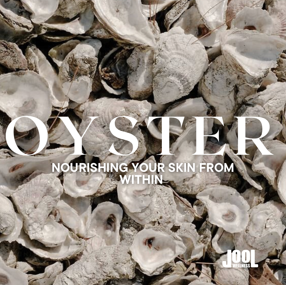 Oyster - Nourish Your Skin From Within